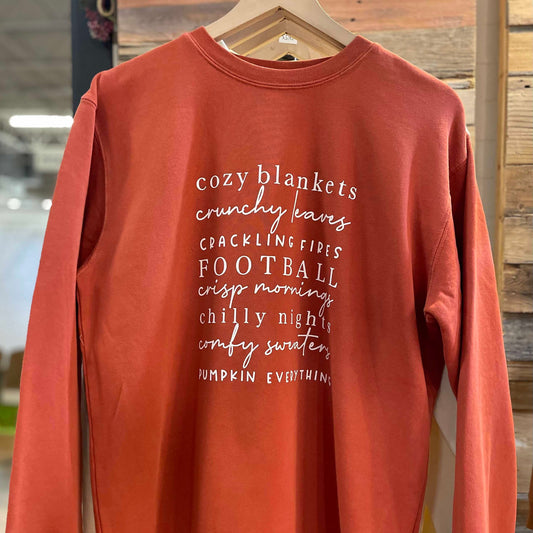 Amber Beach Washed Cozy Sweatshirt